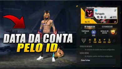 Ferramenta V de Verificado Free Fire - Banner e Avatar Angelical 